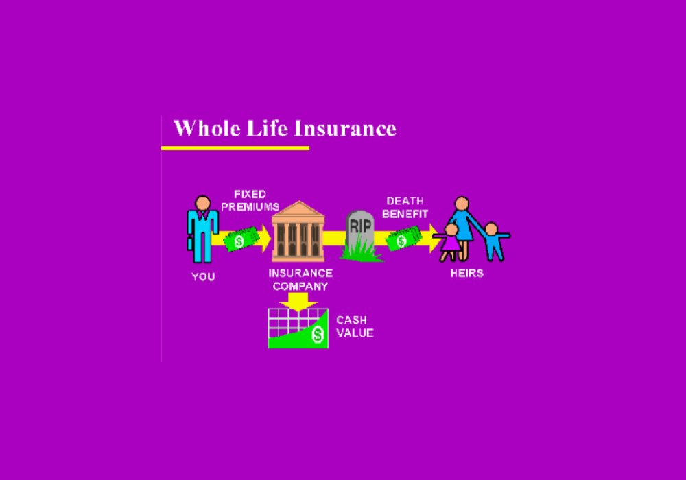 Difference Between Whole Life and Term Life Insurance