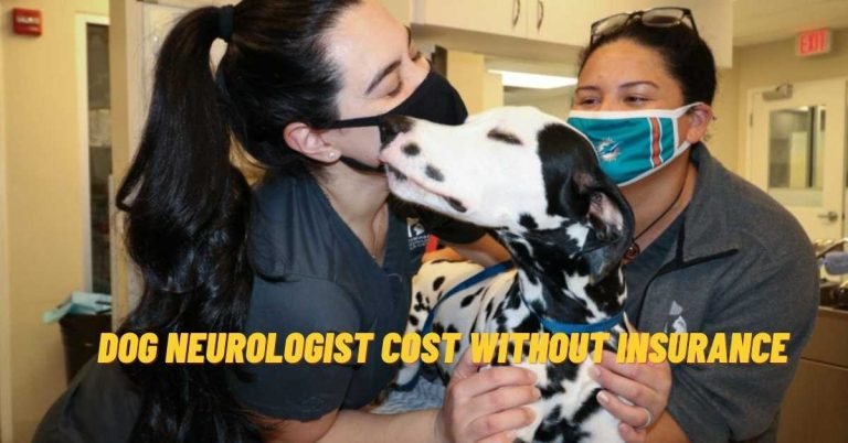 Dog Neurologist Cost Without Insurance