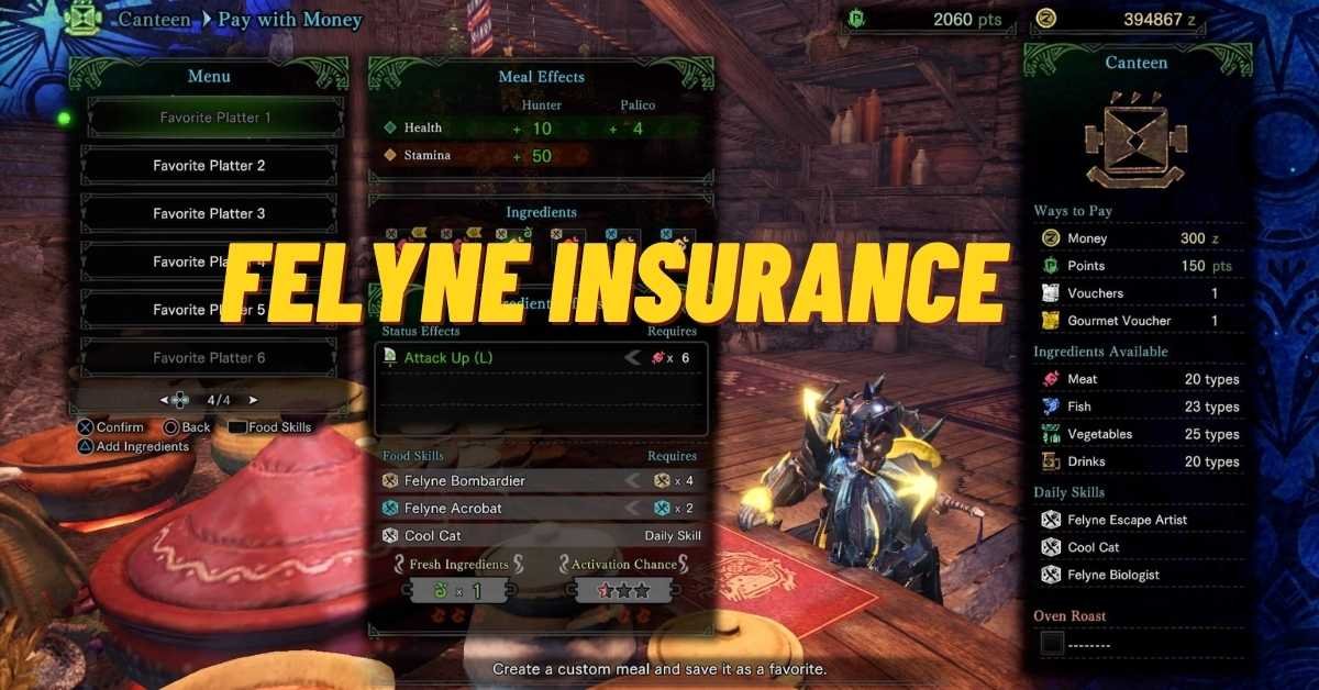 Felyne Insurance