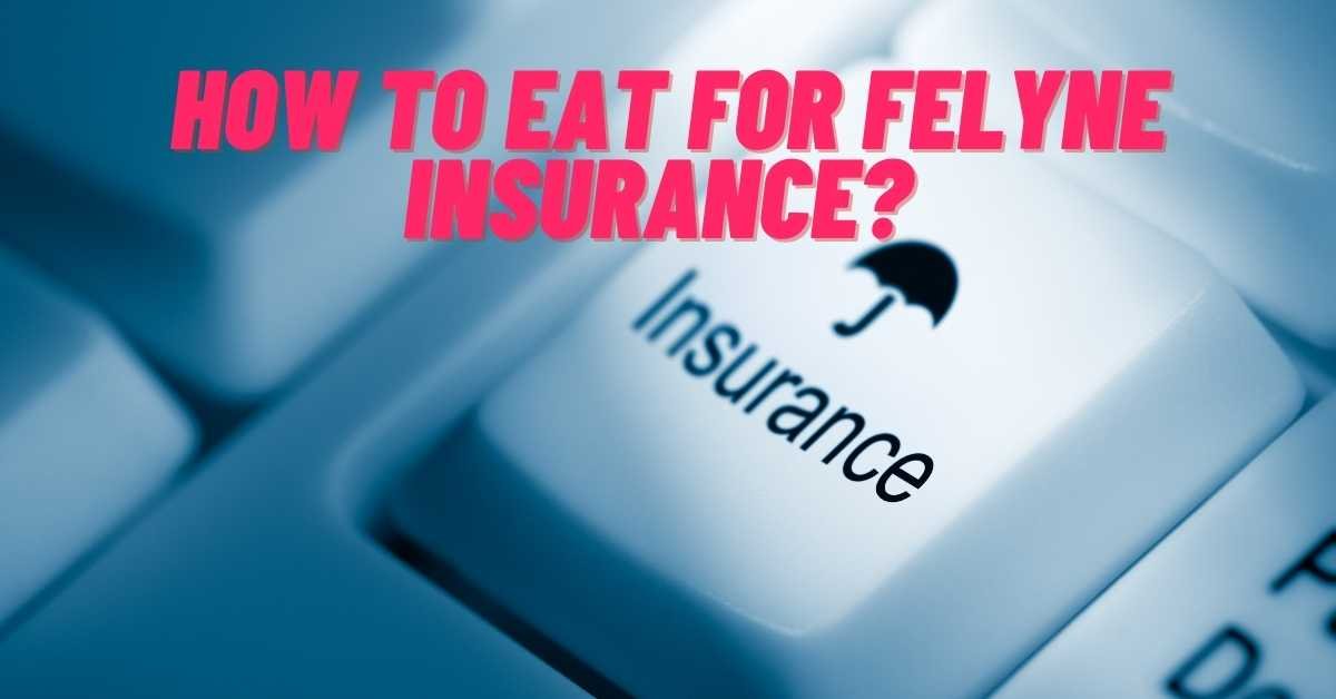How To Eat For Felyne Insurance