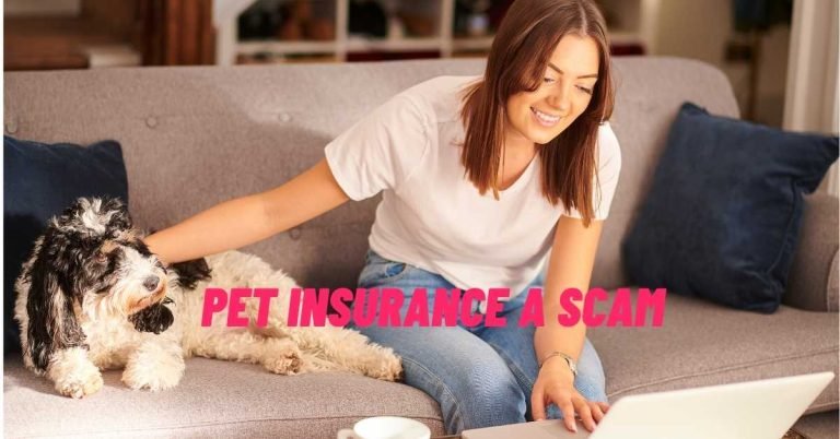 Pet Insurance A Scam