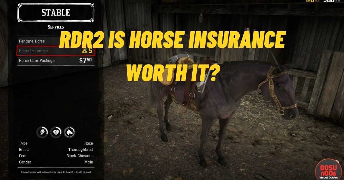 Rdr2 Is Horse Insurance Worth It