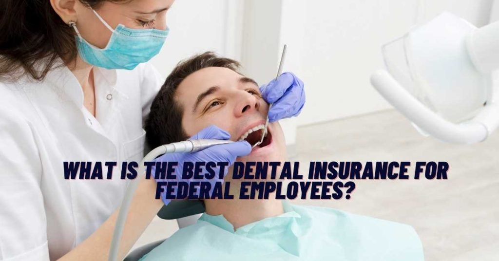 What Is The Best Dental Insurance For Federal Employees? All